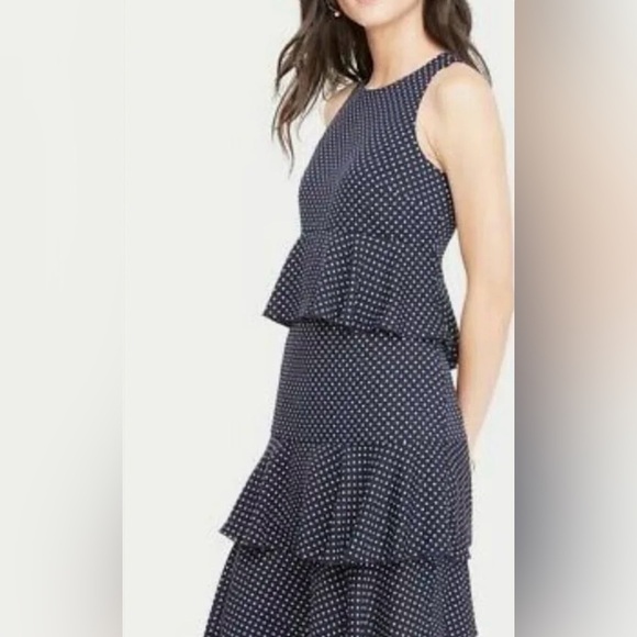 Ann Taylor Polka Dot Dress - Picture 1 of 7